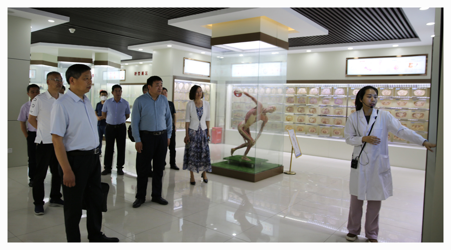 河南省中等职业学校标准化建设工程验收专家组莅临我校检查验收 河南省中等职业学校标准化建设工程验收专家组莅临我校检查验收