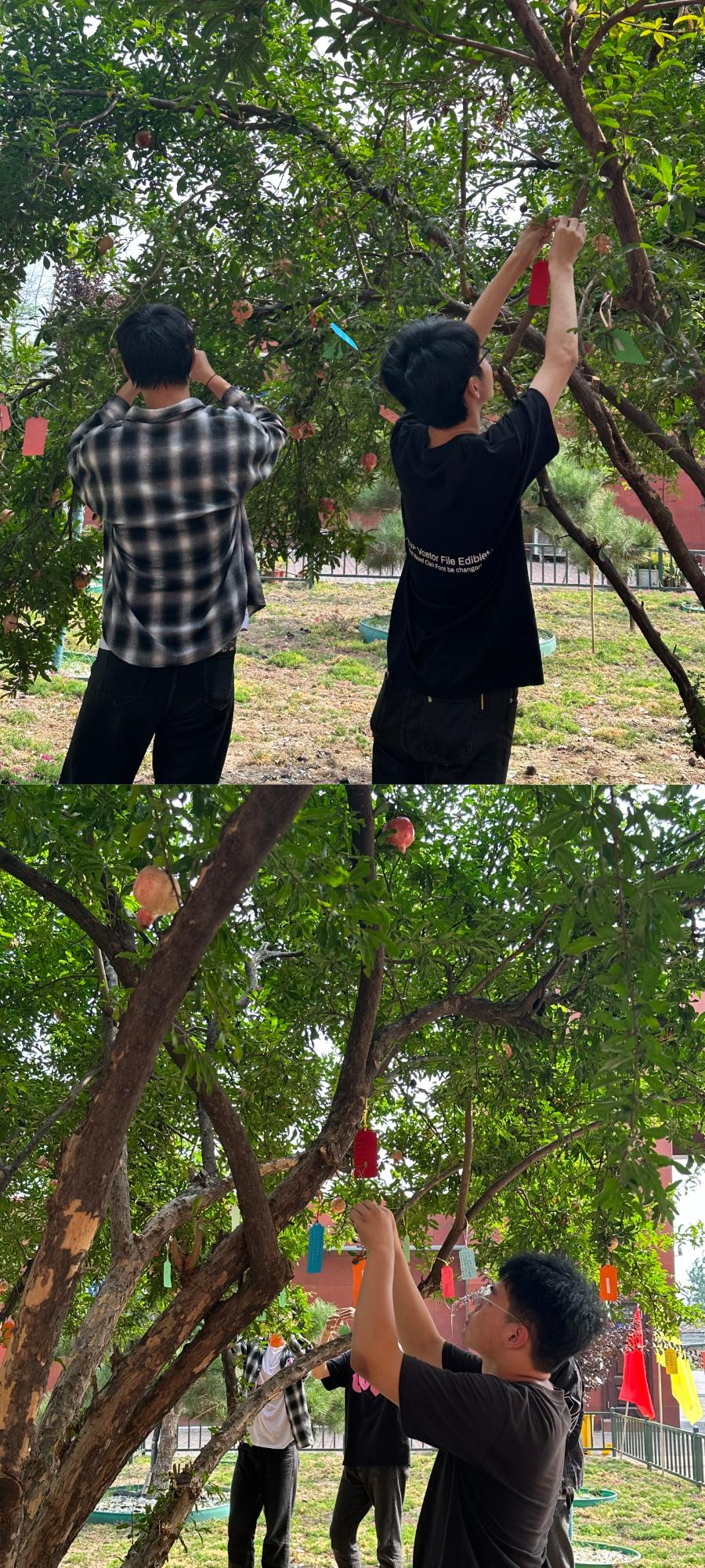 我校举办第39个教师节系列庆祝活动 我校举办第39个教师节系列庆祝活动