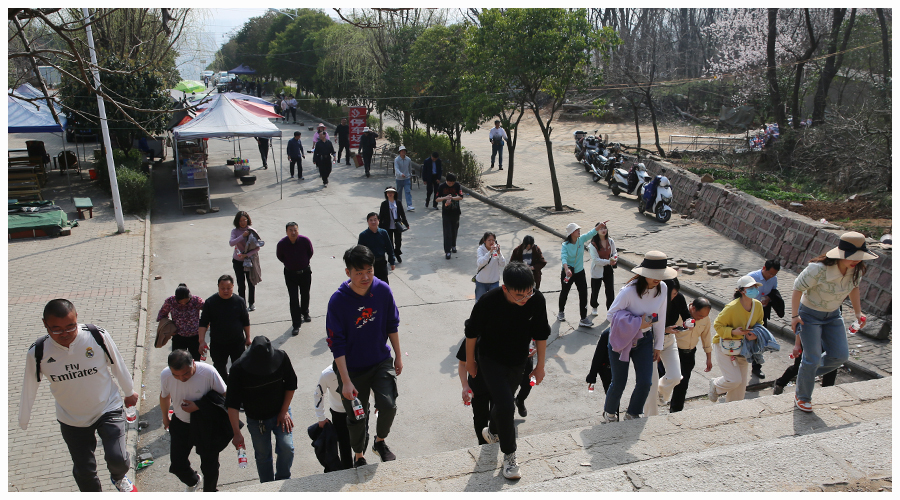 我校开展2023年“迎三八”活动