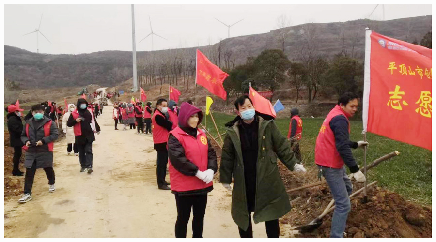 我校参加新年义务植树活动